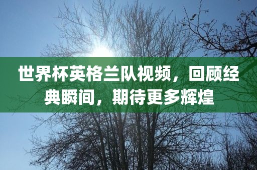 世界杯英格兰队视频，回顾经典瞬间，期待更多辉煌
