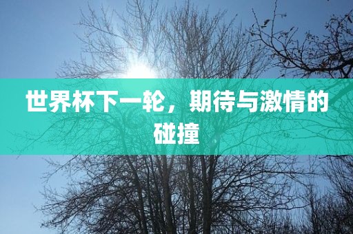 世界杯下一轮，期待与激情的碰撞