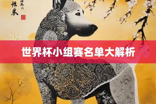 世界杯小组赛名单大解析