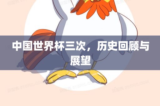 中国世界杯三次，历史回顾与展望
