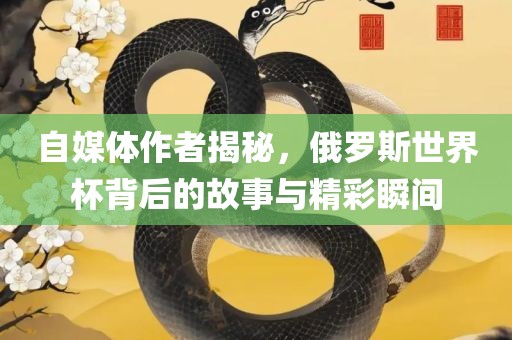 自媒体作者揭秘，俄罗斯世界杯背后的故事与精彩瞬间