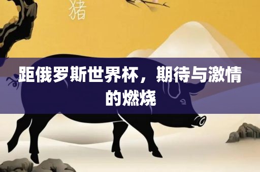 距俄罗斯世界杯，期待与激情的燃烧