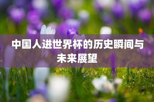 中国人进世界杯的历史瞬间与未来展望