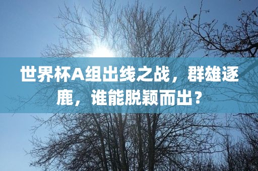 世界杯A组出线之战，群雄逐鹿，谁能脱颖而出？