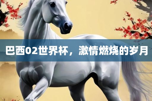 巴西02世界杯，激情燃烧的岁月