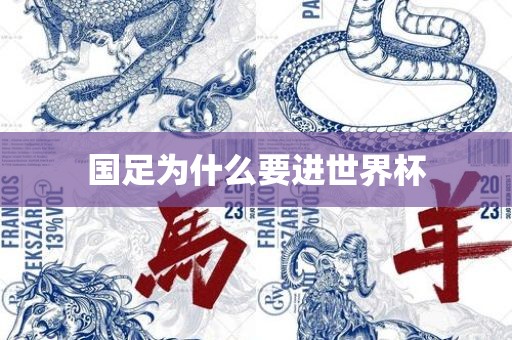 国足为什么要进世界杯