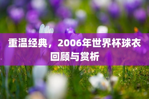 重温经典，2006年世界杯球衣回顾与赏析