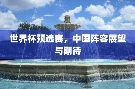 世界杯预选赛，中国阵容展望与期待
