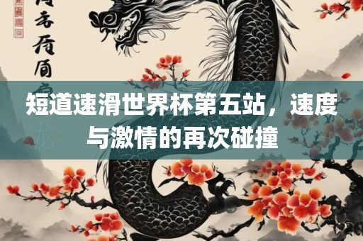 短道速滑世界杯第五站，速度与激情的再次碰撞