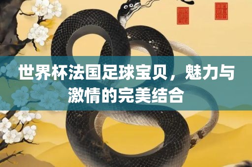 世界杯法国足球宝贝，魅力与激情的完美结合