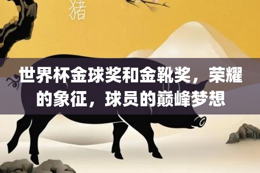 世界杯金球奖和金靴奖，荣耀的象征，球员的巅峰梦想