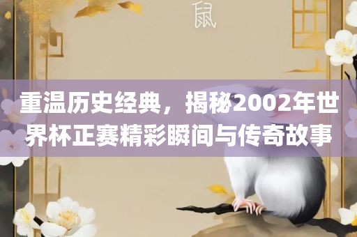 重温历史经典，揭秘2002年世界杯正赛精彩瞬间与传奇故事