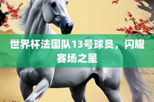 世界杯法国队13号球员，闪耀赛场之星