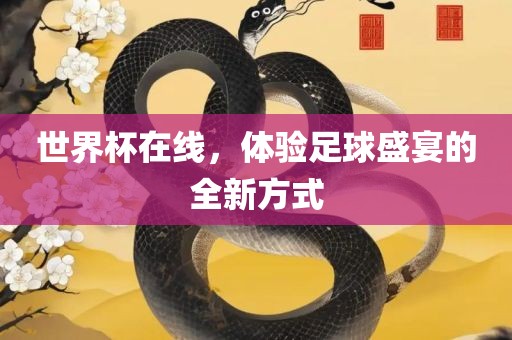 世界杯在线，体验足球盛宴的全新方式