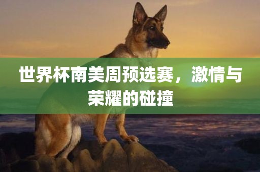 世界杯南美周预选赛，激情与荣耀的碰撞