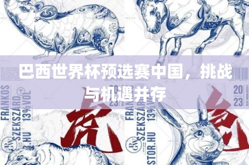 巴西世界杯预选赛中国，挑战与机遇并存