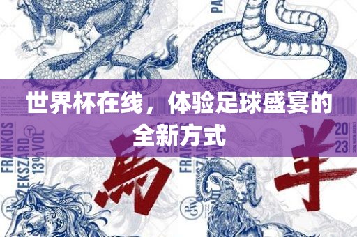 世界杯在线，体验足球盛宴的全新方式