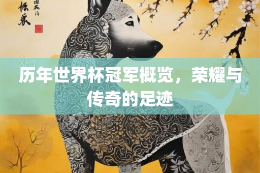 历年世界杯冠军概览，荣耀与传奇的足迹