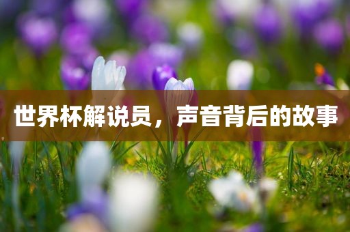世界杯解说员，声音背后的故事