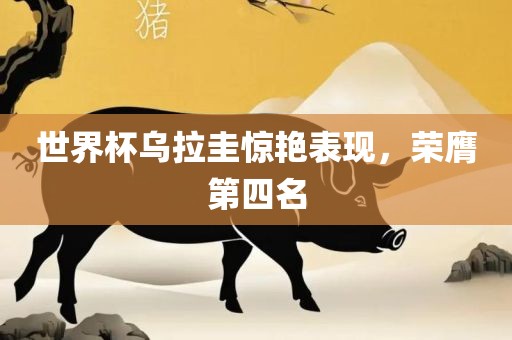 世界杯乌拉圭惊艳表现，荣膺第四名