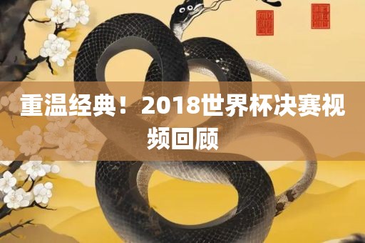 重温经典！2018世界杯决赛视频回顾