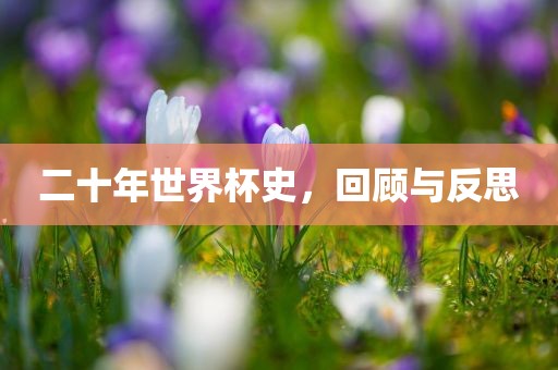 二十年世界杯史，回顾与反思