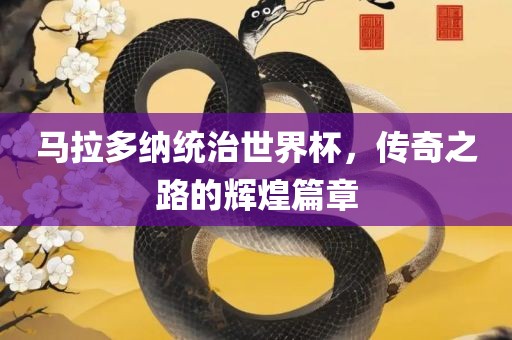 马拉多纳统治世界杯，传奇之路的辉煌篇章
