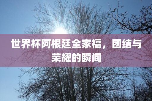 世界杯阿根廷全家福，团结与荣耀的瞬间