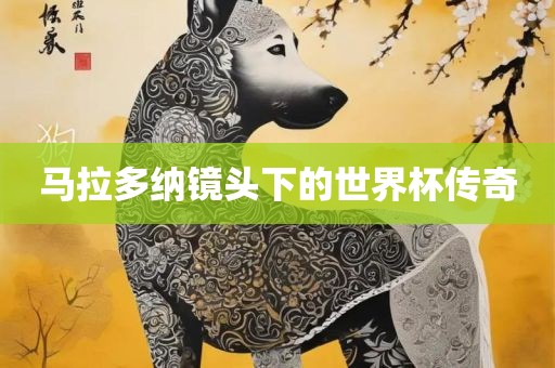 马拉多纳镜头下的世界杯传奇