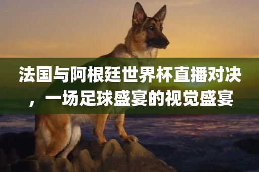 法国与阿根廷世界杯直播对决，一场足球盛宴的视觉盛宴