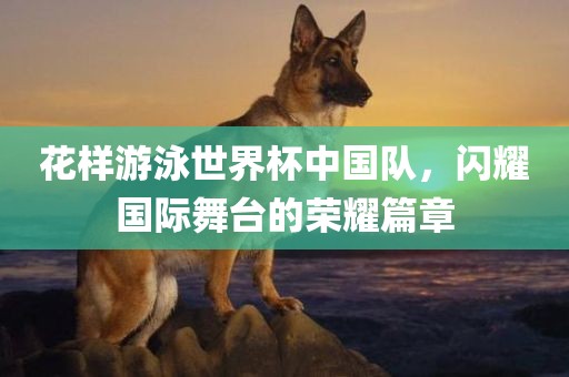 花样游泳世界杯中国队，闪耀国际舞台的荣耀篇章