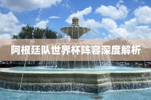 阿根廷队世界杯阵容深度解析