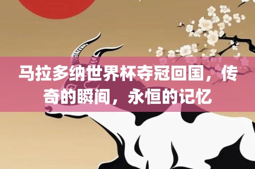 马拉多纳世界杯夺冠回国，传奇的瞬间，永恒的记忆