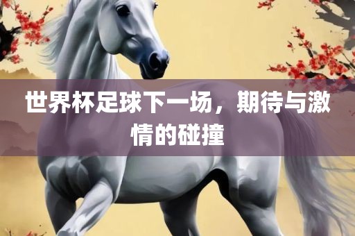 世界杯足球下一场，期待与激情的碰撞