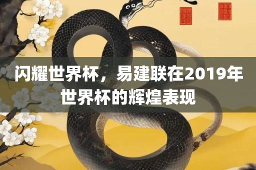 闪耀世界杯，易建联在2019年世界杯的辉煌表现