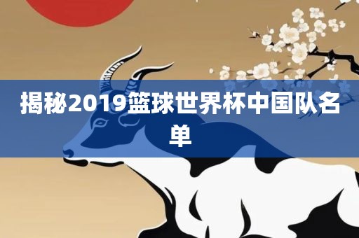 揭秘2019篮球世界杯中国队名单