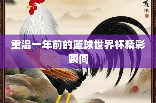 重温一年前的篮球世界杯精彩瞬间