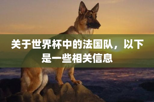 关于世界杯中的法国队，以下是一些相关信息