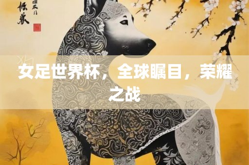 女足世界杯，全球瞩目，荣耀之战