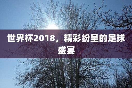 世界杯2018，精彩纷呈的足球盛宴