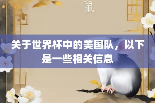 关于世界杯中的美国队，以下是一些相关信息