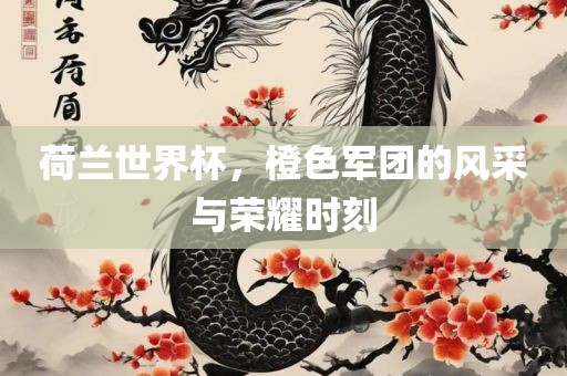 荷兰世界杯，橙色军团的风采与荣耀时刻