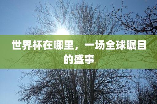 世界杯在哪里，一场全球瞩目的盛事