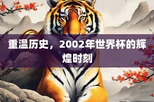 重温历史，2002年世界杯的辉煌时刻