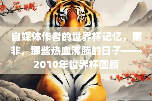自媒体作者的世界杯记忆，南非，那些热血沸腾的日子——2010年世界杯回顾