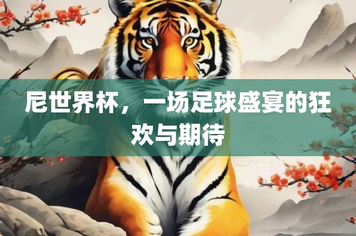 尼世界杯，一场足球盛宴的狂欢与期待