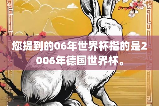 您提到的06年世界杯指的是2006年德国世界杯。