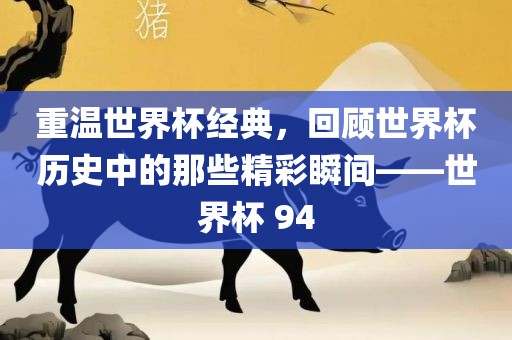 重温世界杯经典，回顾世界杯历史中的那些精彩瞬间——世界杯 94