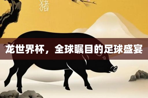 龙世界杯，全球瞩目的足球盛宴