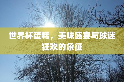 世界杯蛋糕，美味盛宴与球迷狂欢的象征